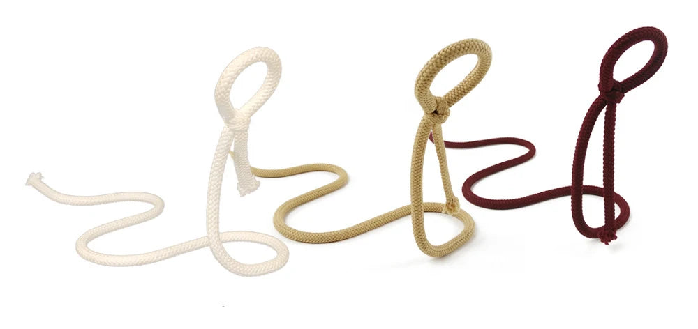 Rope Red Wine Rack Snake Bracket Wine Bottle Holder Modern Style For Home Decoration Table Decor Wine Cabinet Display