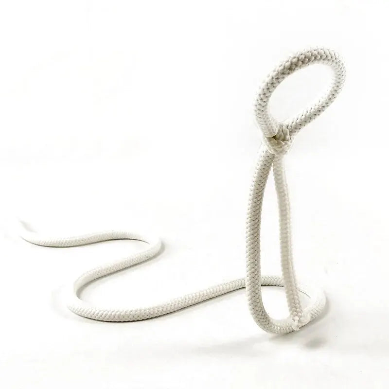 Rope Red Wine Rack Snake Bracket Wine Bottle Holder Modern Style For Home Decoration Table Decor Wine Cabinet Display